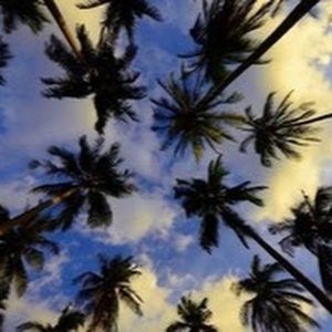 Meet your Posher, AC.